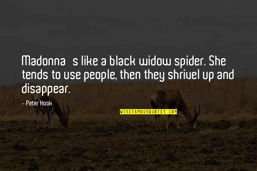 Hook Up Quotes By Peter Hook: Madonna's like a black widow spider. She tends