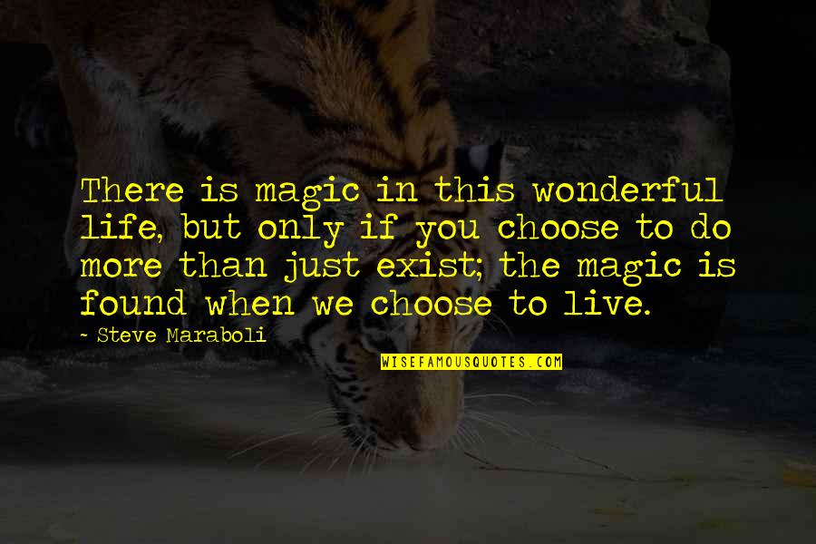 Hookahi Street Quotes By Steve Maraboli: There is magic in this wonderful life, but