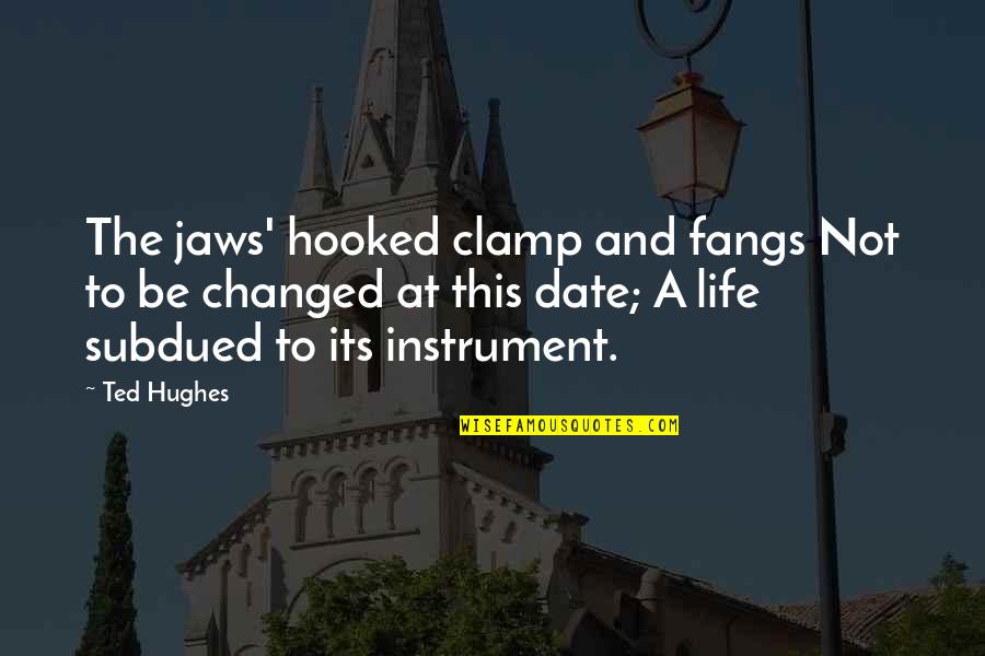 Hooked On You Quotes By Ted Hughes: The jaws' hooked clamp and fangs Not to