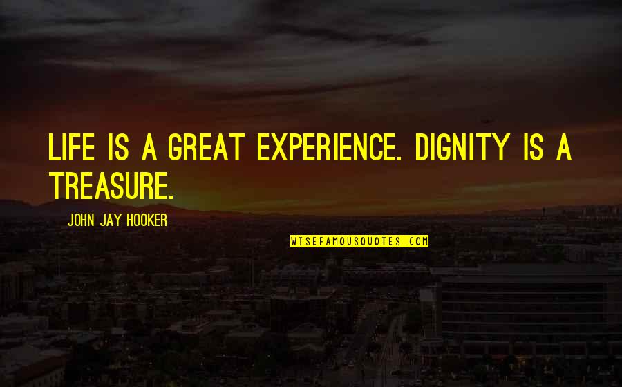 Hooker Quotes By John Jay Hooker: Life is a great experience. Dignity is a