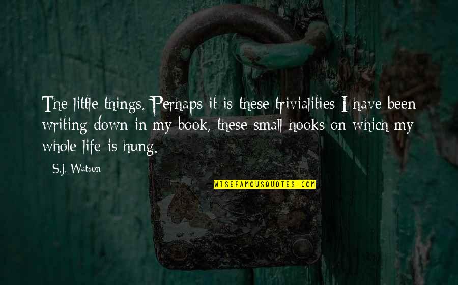 Hooks Quotes By S.J. Watson: The little things. Perhaps it is these trivialities