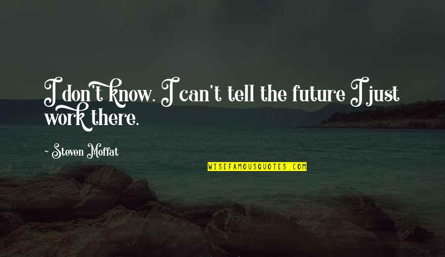 Hool Quotes By Steven Moffat: I don't know. I can't tell the future