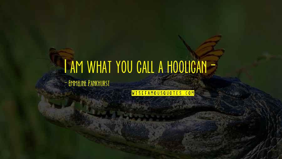 Hooligan Quotes By Emmeline Pankhurst: I am what you call a hooligan-