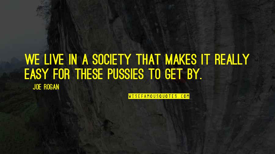 Hooly Quotes By Joe Rogan: We live in a society that makes it