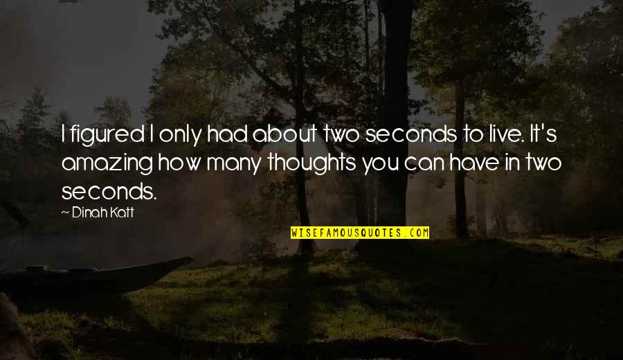 Hooning Quotes By Dinah Katt: I figured I only had about two seconds