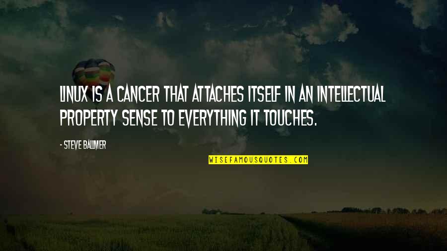 Hootchy Kootchy Quotes By Steve Ballmer: Linux is a cancer that attaches itself in Hootchy Kootchy Quotes By Steve Ballmer: Linux is a cancer that attaches itself in