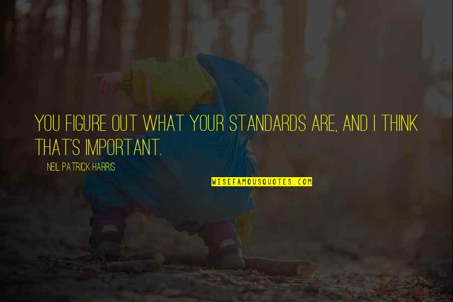 Hope All Is Going Well Quotes By Neil Patrick Harris: You figure out what your standards are, and Hope All Is Going Well Quotes By Neil Patrick Harris: You figure out what your standards are, and