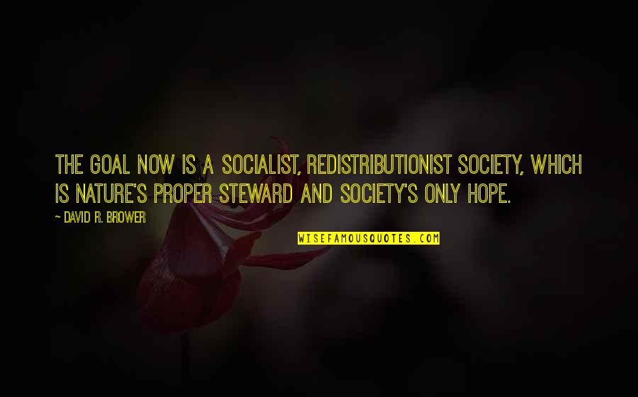 Hope And Change Quotes By David R. Brower: The goal now is a socialist, redistributionist society,