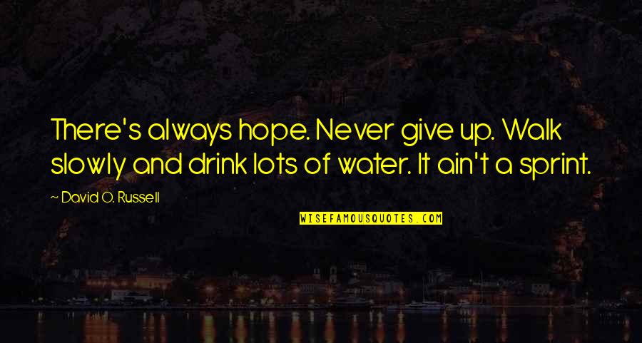 Hope And Never Giving Up Quotes By David O. Russell: There's always hope. Never give up. Walk slowly