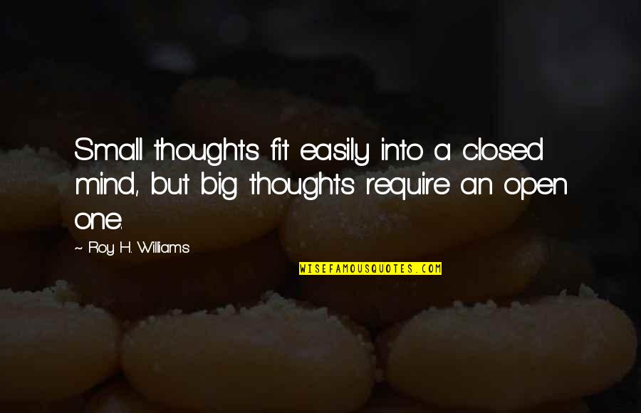 Hope And Other Dangerous Pursuits Quotes By Roy H. Williams: Small thoughts fit easily into a closed mind, Hope And Other Dangerous Pursuits Quotes By Roy H. Williams: Small thoughts fit easily into a closed mind,