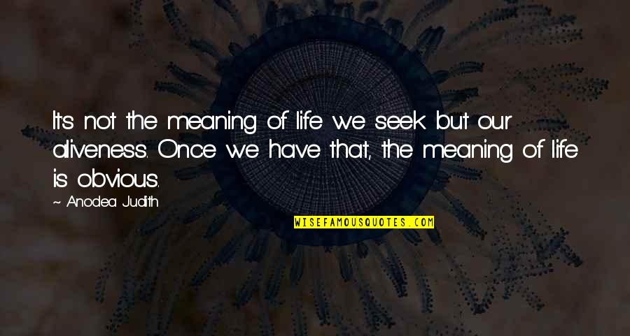 Hope And Renewal Quotes By Anodea Judith: It's not the meaning of life we seek