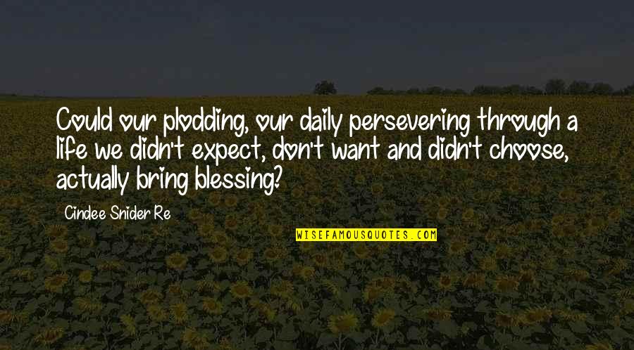 Hope And Trust Quotes By Cindee Snider Re: Could our plodding, our daily persevering through a