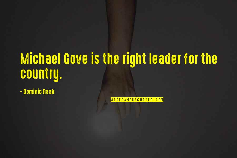 Hope Anon Change Quotes By Dominic Raab: Michael Gove is the right leader for the