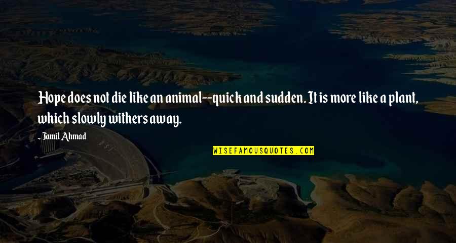 Hope Die Quotes By Jamil Ahmad: Hope does not die like an animal--quick and