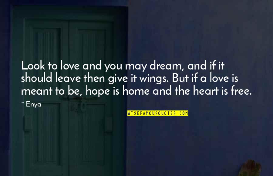 Hope Dream Love Quotes By Enya: Look to love and you may dream, and