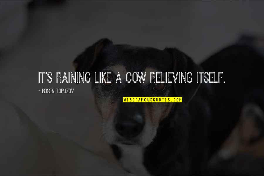 Hope Estheim Figure Quotes By Rosen Topuzov: It's raining like a cow relieving itself.