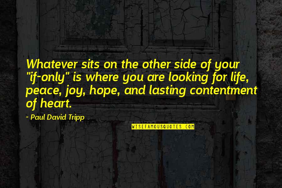 Hope For Peace Quotes By Paul David Tripp: Whatever sits on the other side of your