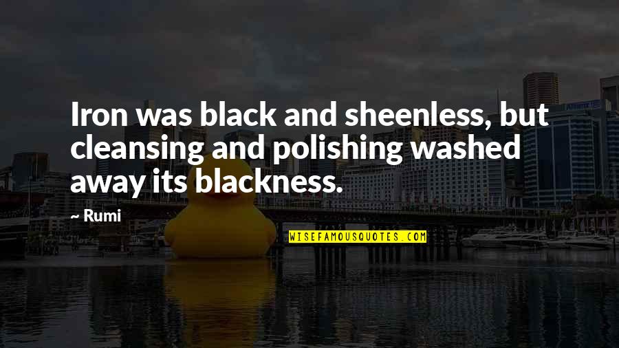Hope I Find Someone Quotes By Rumi: Iron was black and sheenless, but cleansing and