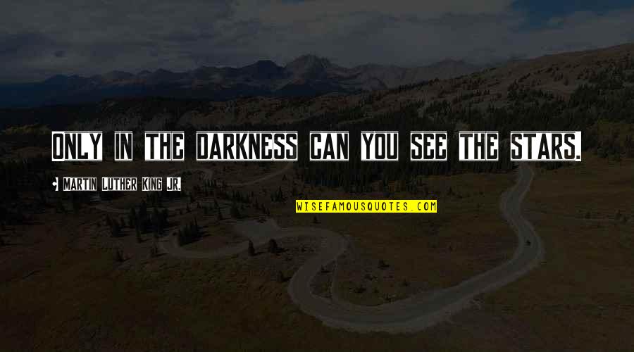Hope In Darkness Quotes By Martin Luther King Jr.: Only in the darkness can you see the