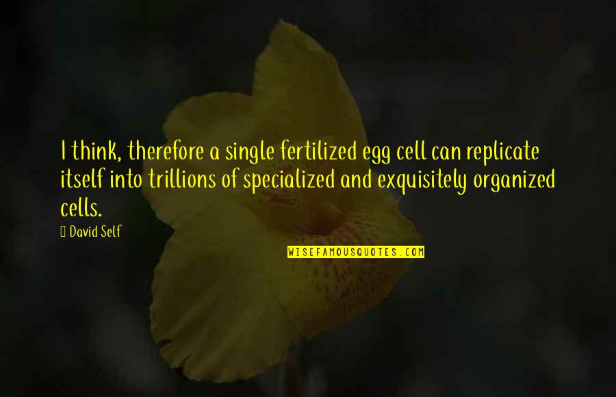 Hope In Disaster Quotes By David Self: I think, therefore a single fertilized egg cell Hope In Disaster Quotes By David Self: I think, therefore a single fertilized egg cell
