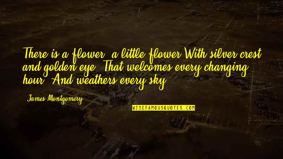 Hope In To Kill A Mockingbird Quotes By James Montgomery: There is a flower, a little flower With