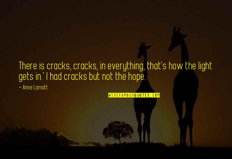 Hope Is Everything Quotes By Anne Lamott: There is cracks, cracks, in everything, that's how