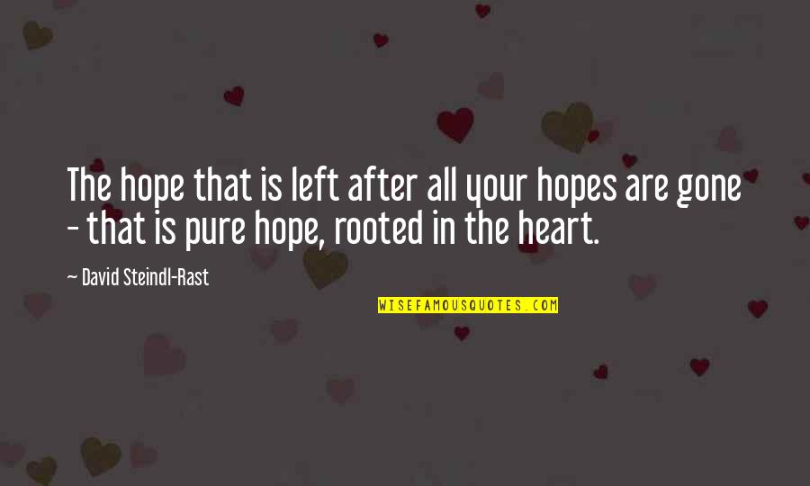 Hope Is Gone Quotes By David Steindl-Rast: The hope that is left after all your