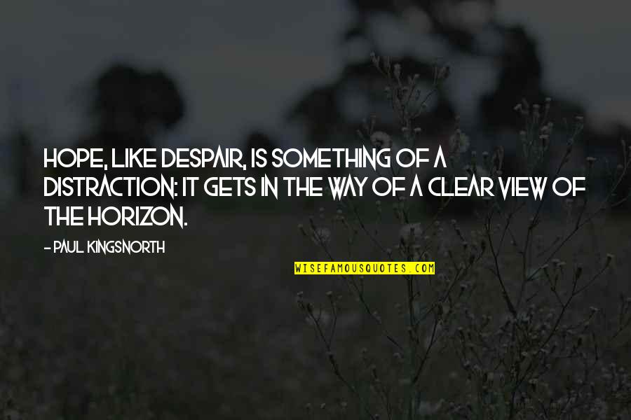 Hope Is On The Horizon Quotes By Paul Kingsnorth: Hope, like despair, is something of a distraction: