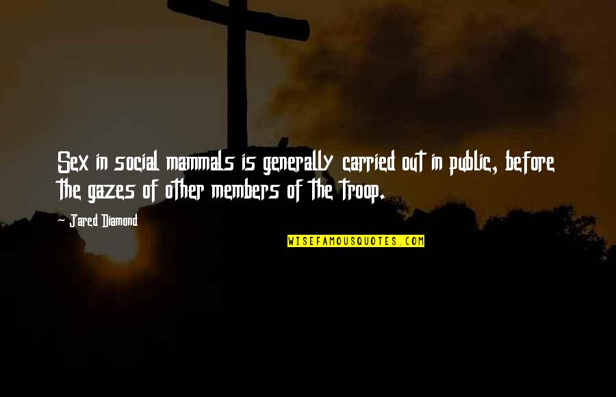 Hope Is Still Alive Quotes By Jared Diamond: Sex in social mammals is generally carried out Hope Is Still Alive Quotes By Jared Diamond: Sex in social mammals is generally carried out