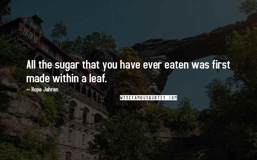 Hope Jahren quotes: All the sugar that you have ever eaten was first made within a leaf.