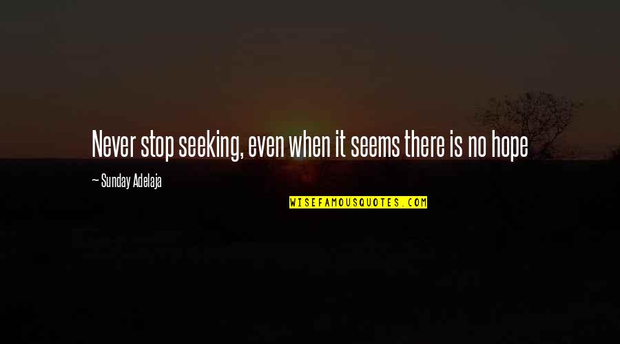 Hope Of Success Quotes By Sunday Adelaja: Never stop seeking, even when it seems there