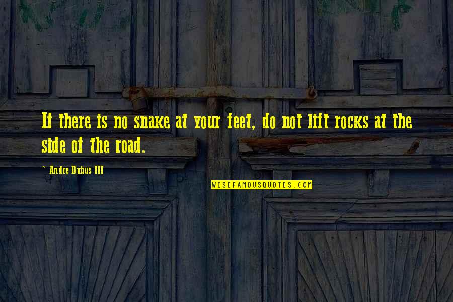 Hope Search Quotes Quotes By Andre Dubus III: If there is no snake at your feet,