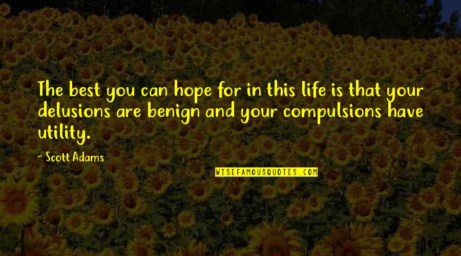 Hope The Best For You Quotes By Scott Adams: The best you can hope for in this