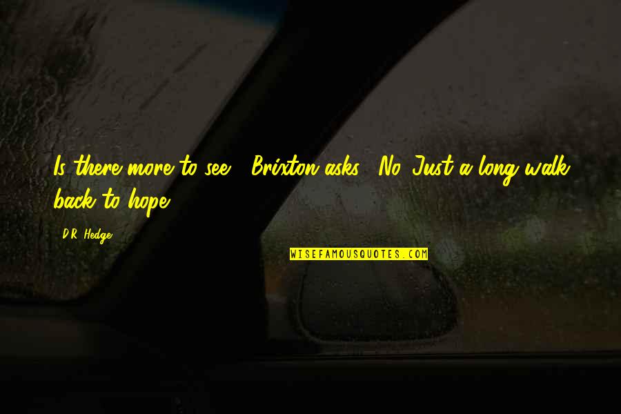 Hope To Quotes By D.R. Hedge: Is there more to see?" Brixton asks. "No.
