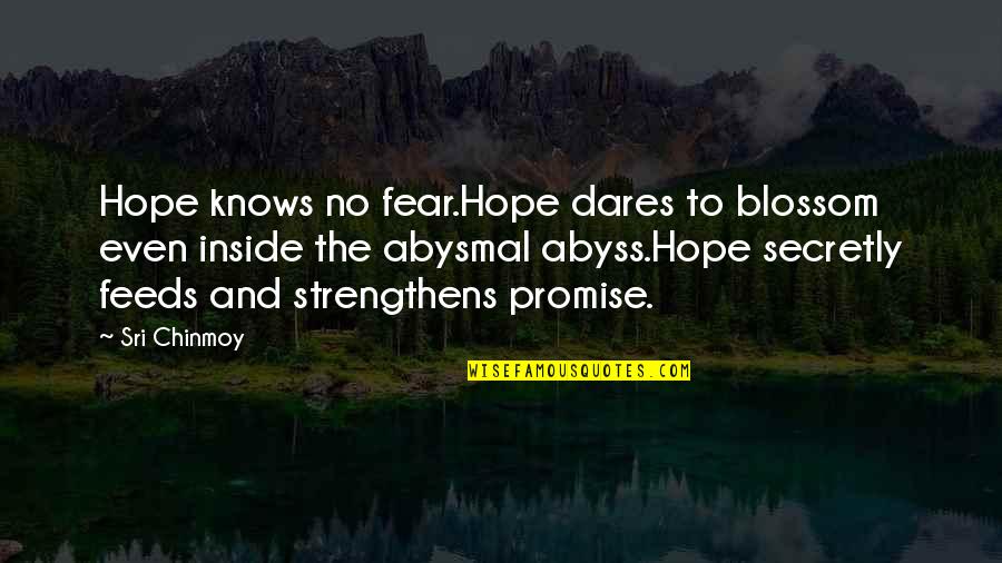 Hope To Quotes By Sri Chinmoy: Hope knows no fear.Hope dares to blossom even