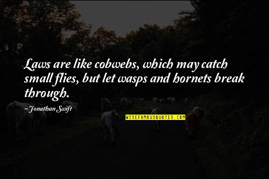 Hope You Are Doing Fine Quotes By Jonathan Swift: Laws are like cobwebs, which may catch small