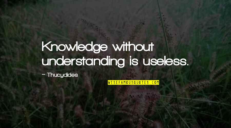 Hopeful Relationships Quotes By Thucydides: Knowledge without understanding is useless.