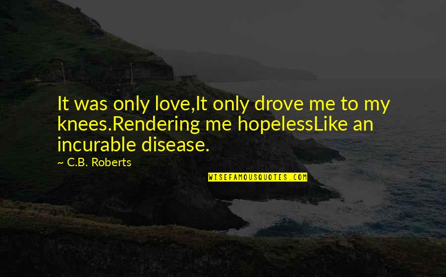 Hopeless Love Quotes By C.B. Roberts: It was only love,It only drove me to