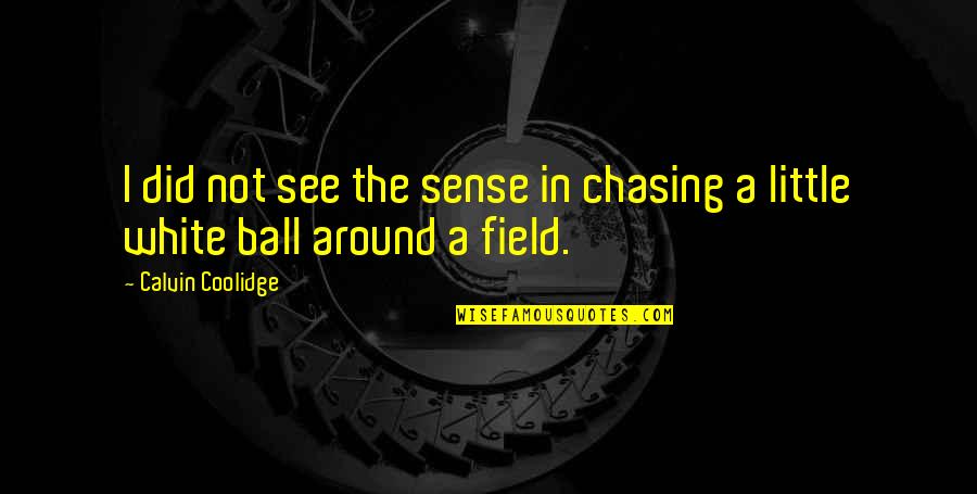 Hopelessly Enslaved Quotes By Calvin Coolidge: I did not see the sense in chasing
