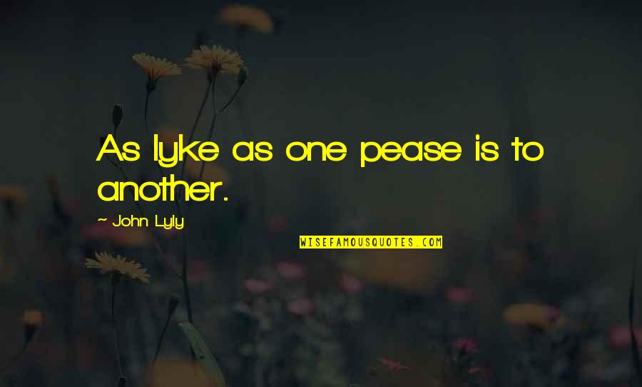 Hopelessness Inspirational Quotes By John Lyly: As lyke as one pease is to another.