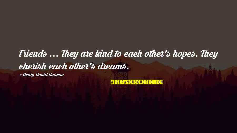 Hopes Quotes By Henry David Thoreau: Friends ... They are kind to each other's