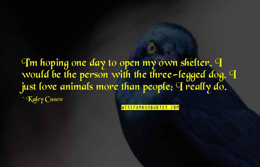 Hoping To Be Love Quotes By Kaley Cuoco: I'm hoping one day to open my own