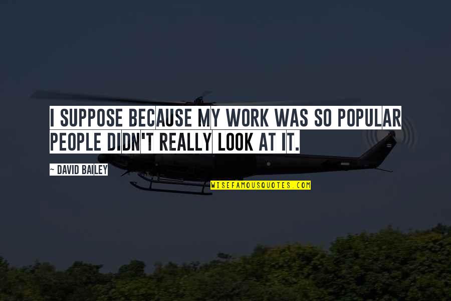 Hoppenstein Quotes By David Bailey: I suppose because my work was so popular