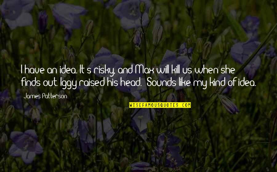 Hoppie Groenewald Quotes By James Patterson: I have an idea. It's risky, and Max