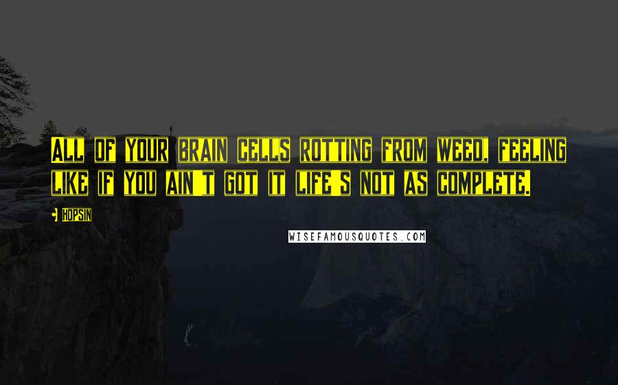 Hopsin quotes: All of your brain cells rotting from weed, feeling like if you ain't got it life's not as complete.