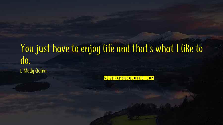 Horace Adversity Quote Quotes By Molly Quinn: You just have to enjoy life and that's