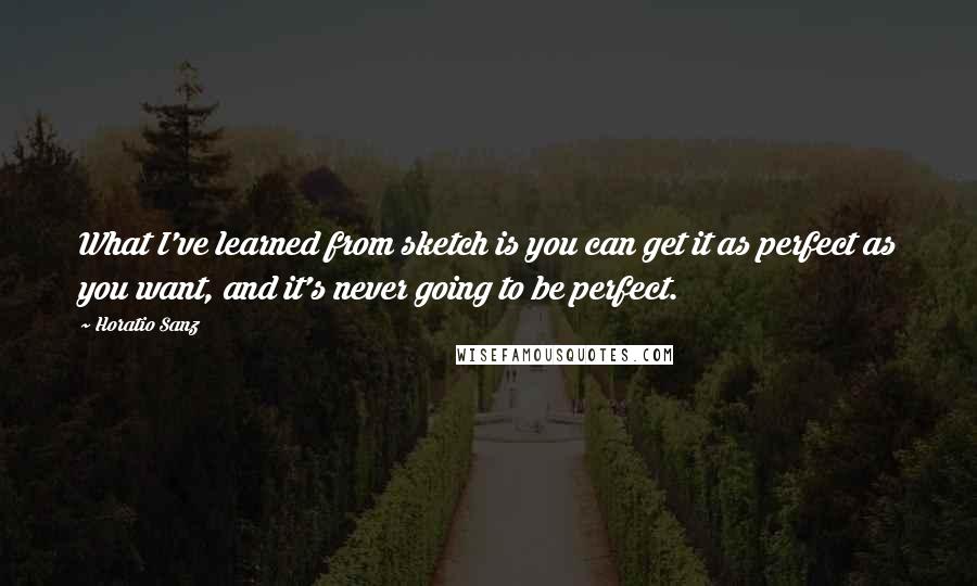 Horatio Sanz quotes: What I've learned from sketch is you can get it as perfect as you want, and it's never going to be perfect.