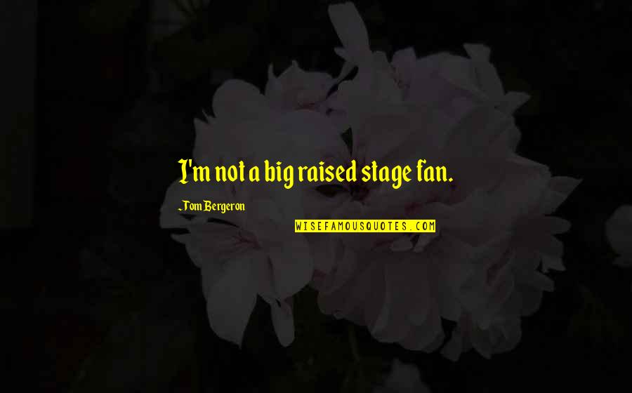 Horiyoshi Iii Quotes By Tom Bergeron: I'm not a big raised stage fan.