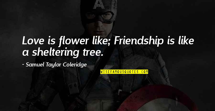 Horizontals Saloon Quotes By Samuel Taylor Coleridge: Love is flower like; Friendship is like a