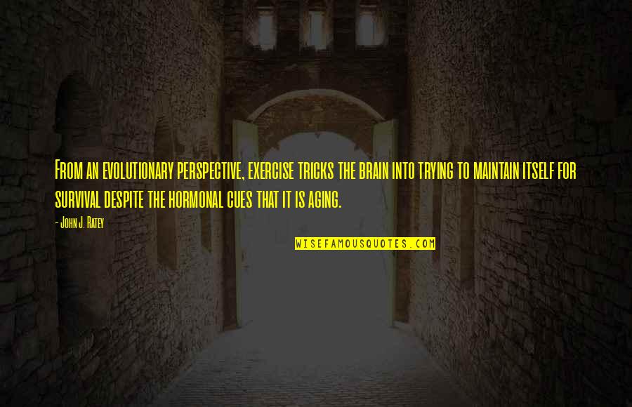 Hormonal Quotes By John J. Ratey: From an evolutionary perspective, exercise tricks the brain Hormonal Quotes By John J. Ratey: From an evolutionary perspective, exercise tricks the brain